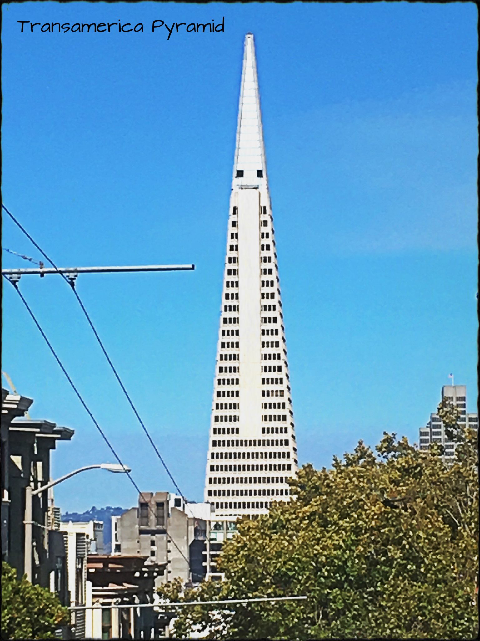 IMG_4040
