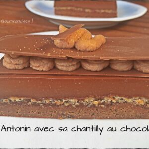 Part de l’Antonin surmontée de dômes de ganache montée, une autre part en arrière-plan