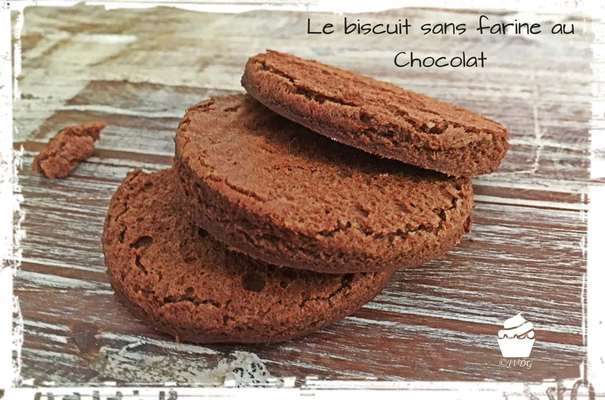 biscuit-chocolat-sansfarine