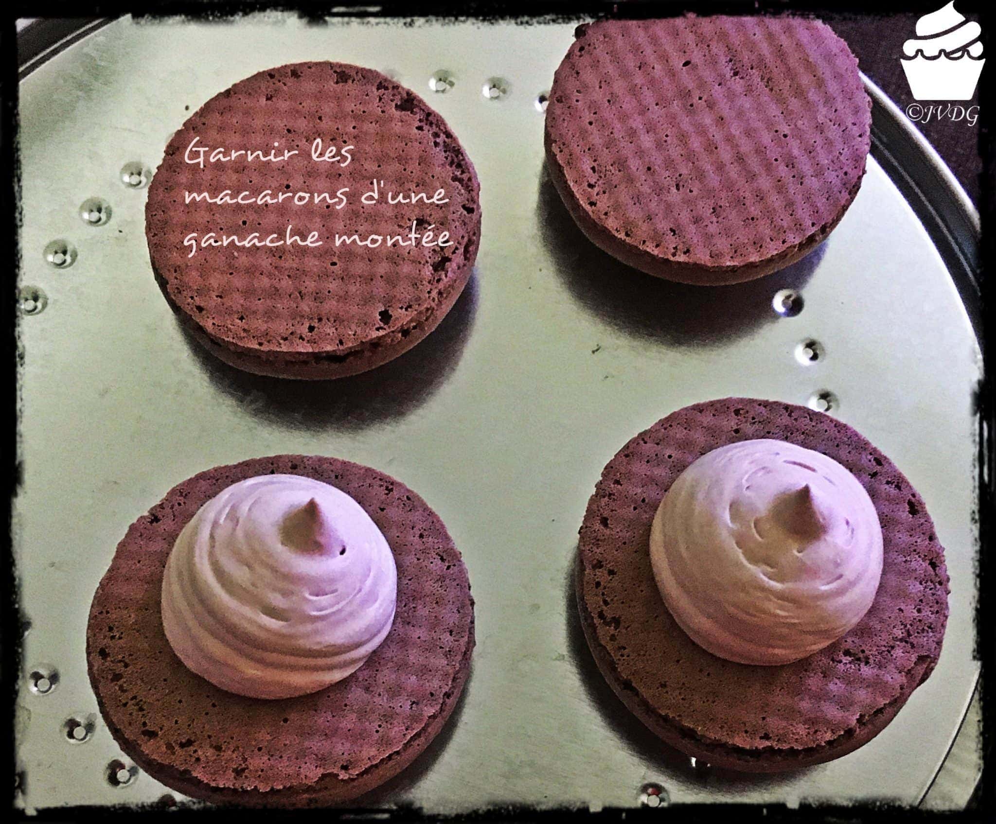 macarons-v5