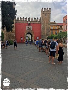 IMG_1617