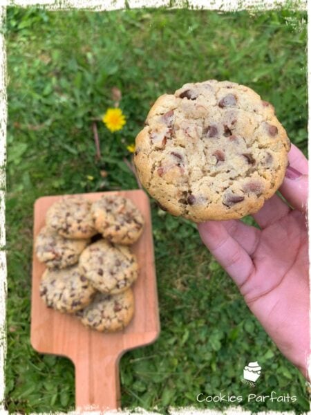 Cookie aux pépites de chocolat tenu à la main