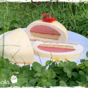 Entremets Fragoila coupé en parts sur une assiette dans l’herbe